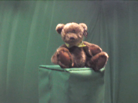 45 Degrees _ Picture 9 _ Small Dark Brown Teddy Bear.png